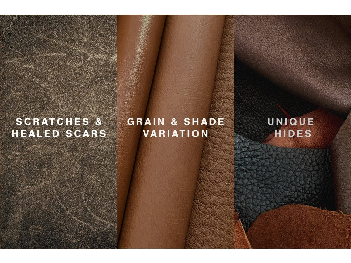 Emilia 7-Piece Leather Sectional