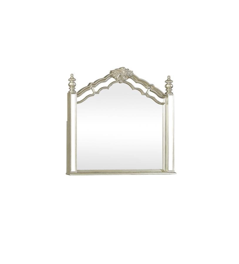 Heidi Arched Mirror Metallic Platinum