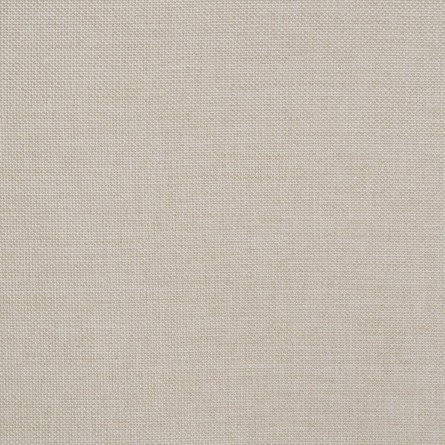 Sadie Upholstered Twin Daybed with Trundle