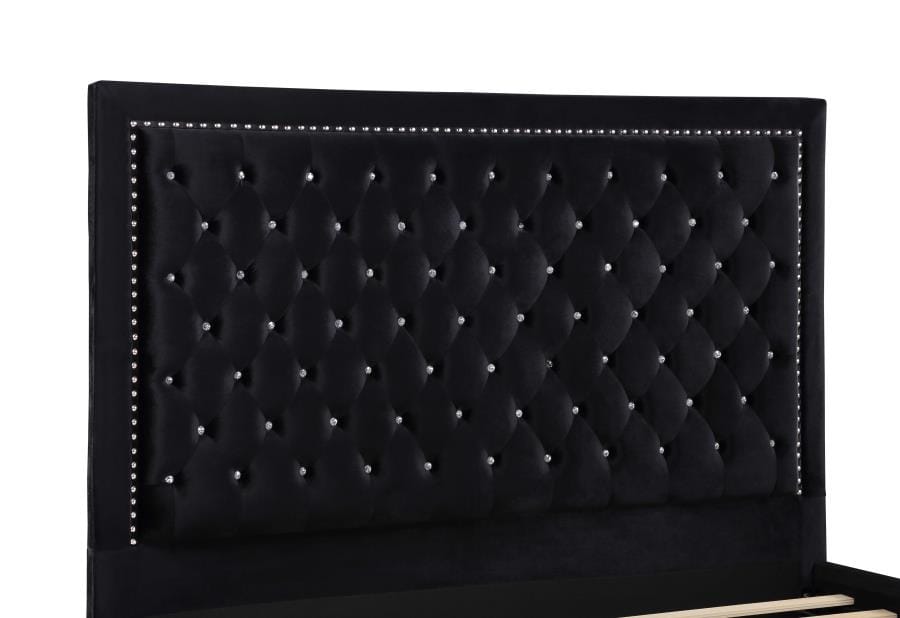 Hailey Upholstered Tufted Platform Queen Bed Black