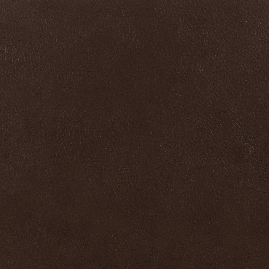 Samuel Upholstered Sleeper Sofa Dark Brown