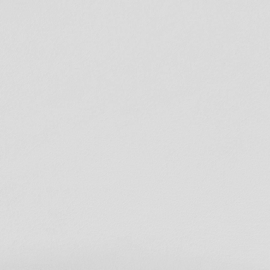 Ximena High Back Upholstered Office Chair White