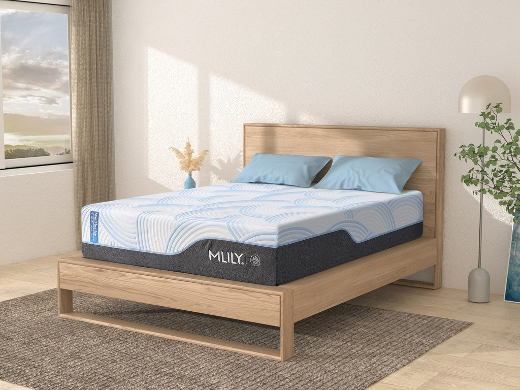 WellFlex ICE 3.0 Plusher Mattress
