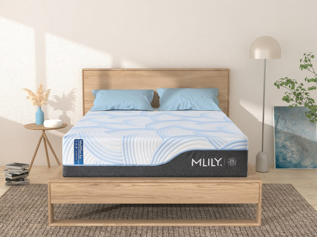WellFlex ICE 3.0 Plusher Mattress