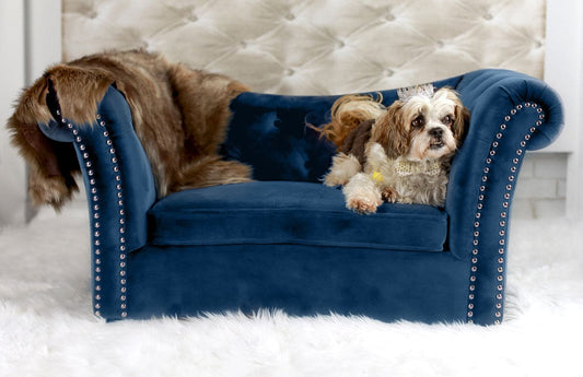 Dachshund Navy Pet Bed