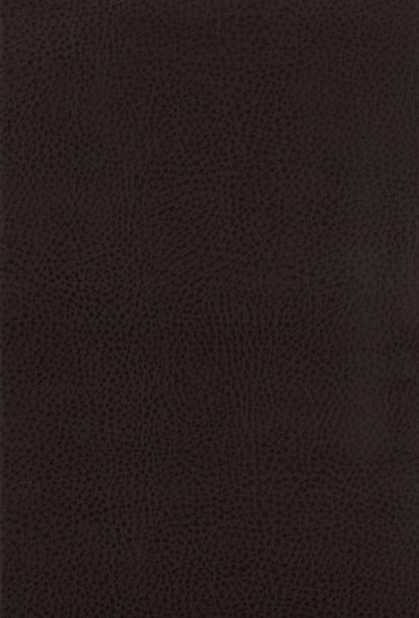 Dewey Upholstered Counter Height Chairs with Footrest (Set of 2) Brown and Walnut