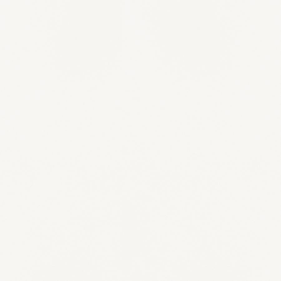 Bishop Upholstered Side Chairs White and Chrome (Set of 2)