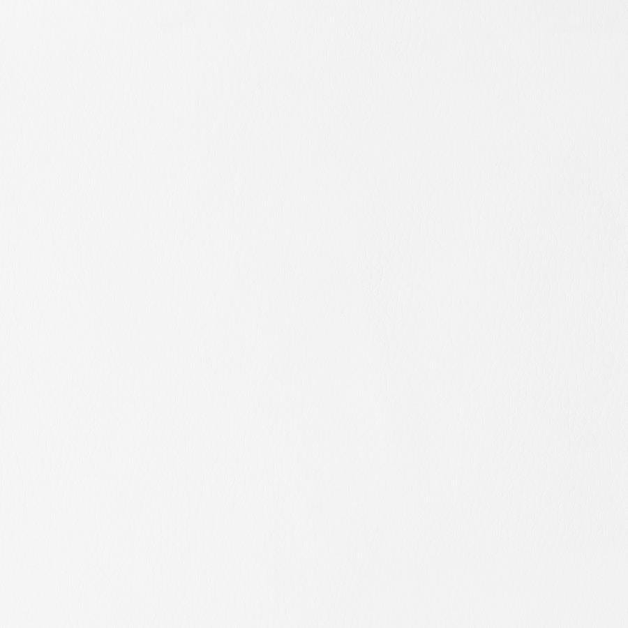 Brooklyn Upholstered Side Chairs with S-frame (Set of 4) Grey and White