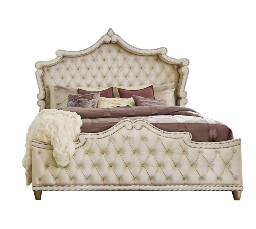 Antonella Upholstered Tufted Bedroom Set Ivory and Camel