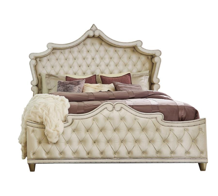 Antonella Upholstered Tufted Bedroom Set Ivory and Camel