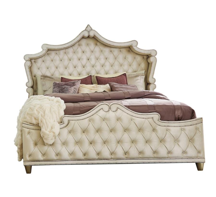 Antonella Upholstered Tufted Bedroom Set Ivory and Camel