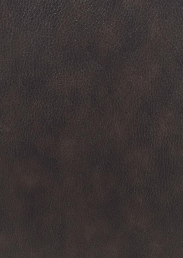 Boston Upholstered Tufted Motion Loveseat Two-tone Brown