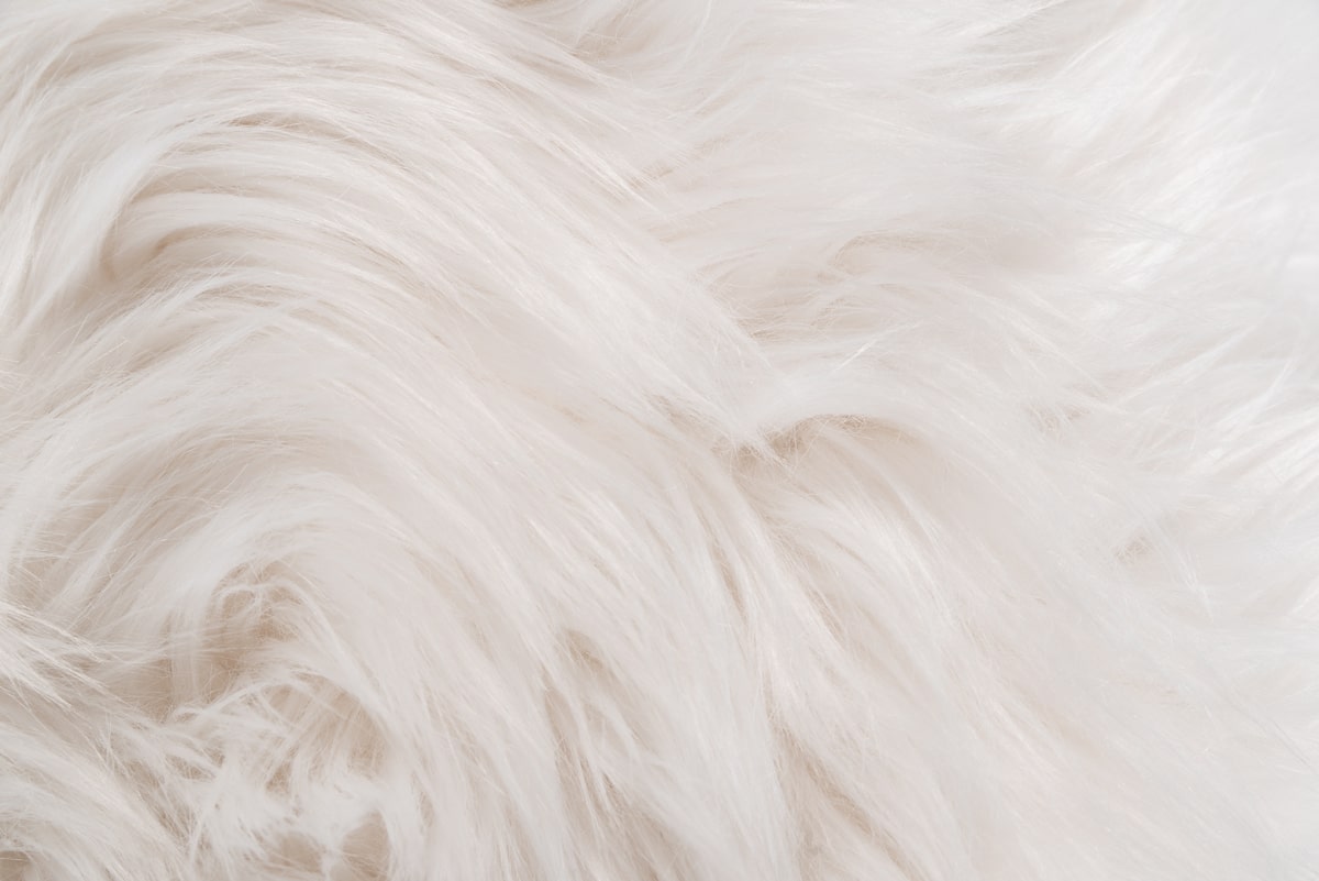 Modrest Ghent Modern White Faux Fur & Gold Ottoman
