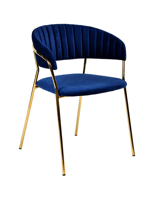 Modrest Brandy Modern Blue Fabric Dining Chair (Set of 2)